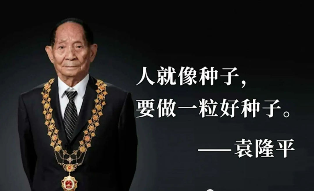 89d78c76295a980081b6e8ee18173a08 CA88(中国区)唯一官方网站