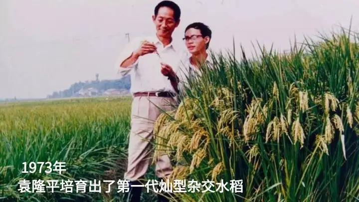 d5ed1b3593b6d529b3b41e07b12aeb1a CA88(中国区)唯一官方网站